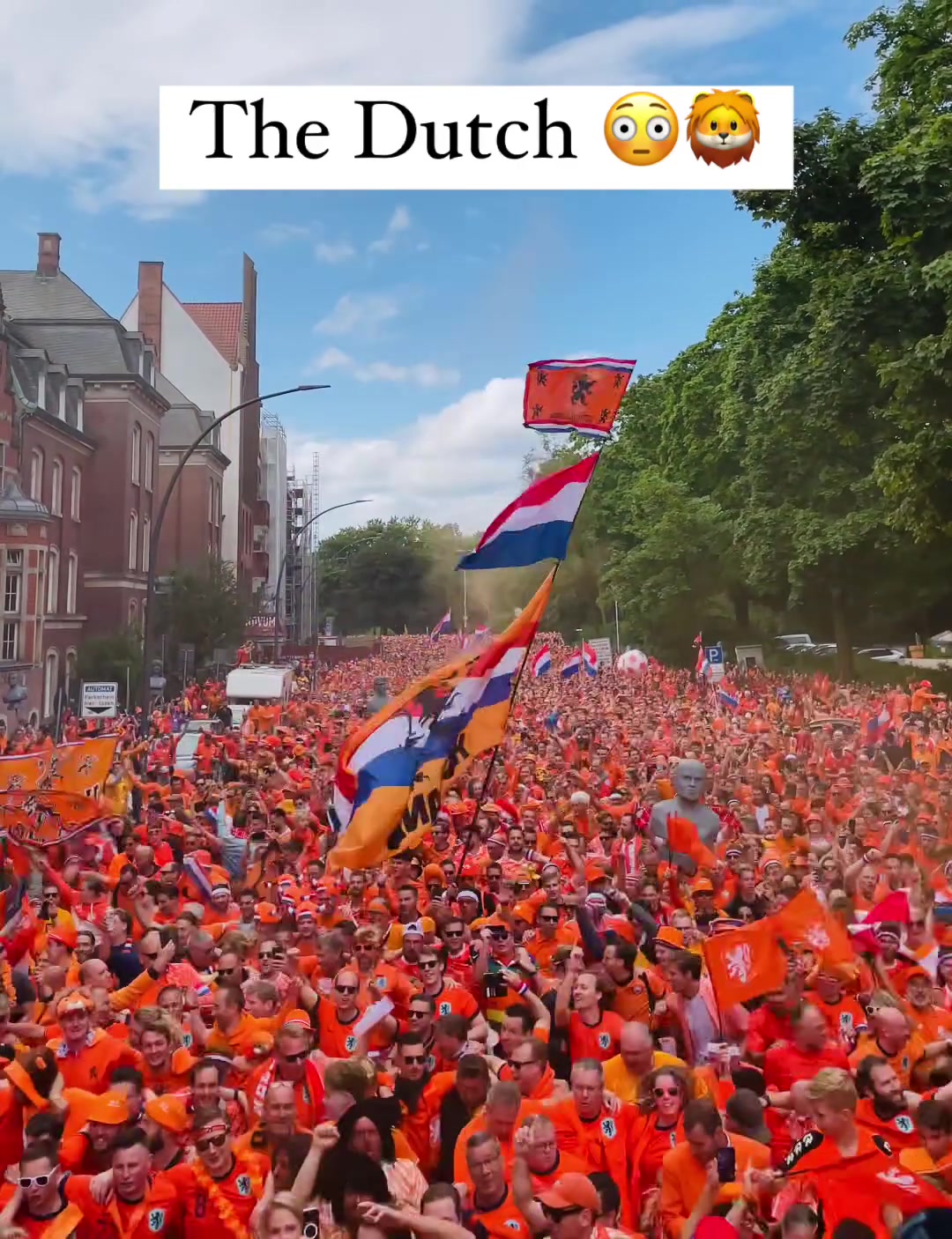 密恐慎入！荷兰球迷“攻占”汉堡
